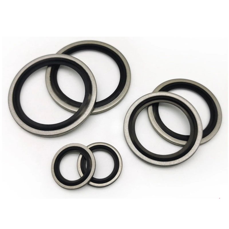 Tự tập trung 304 Stainless Steel Dowty Seal Gasket NBR Goma Bonded Seal Washer 0