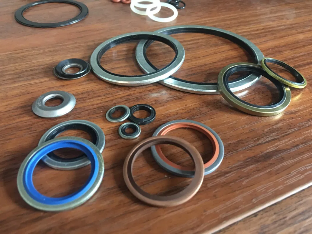 Tự tập trung 304 Stainless Steel Dowty Seal Gasket NBR Goma Bonded Seal Washer 2