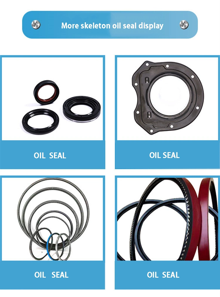 ABS Wheel Oil Seal với toàn bộ thể loại và sẵn có tại chỗ 1